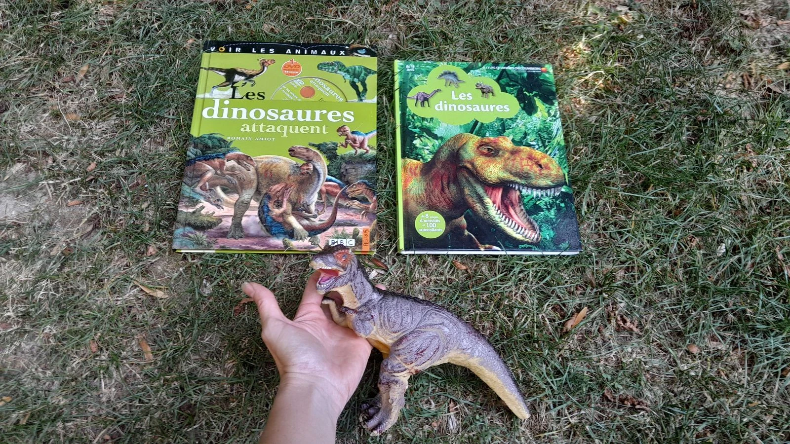 Joli lot sympa sur les dinosaures